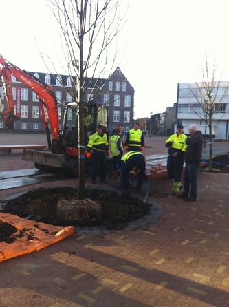 Boomverankering in boomgranulaat