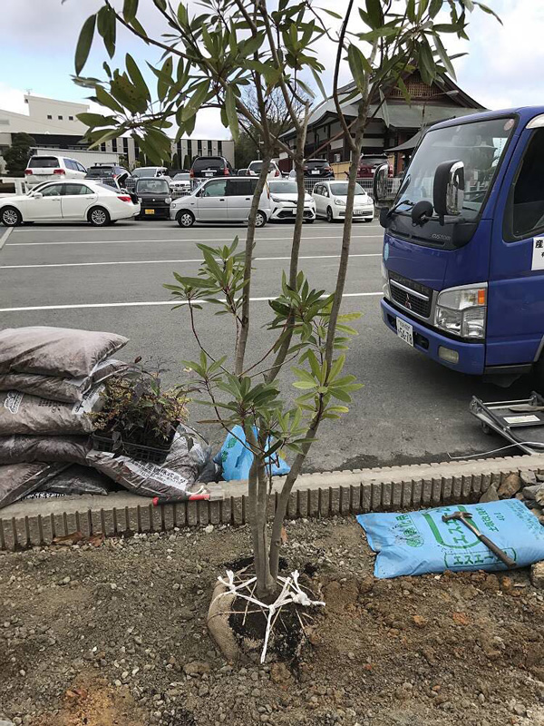 Boomplantsysteem in Osaka