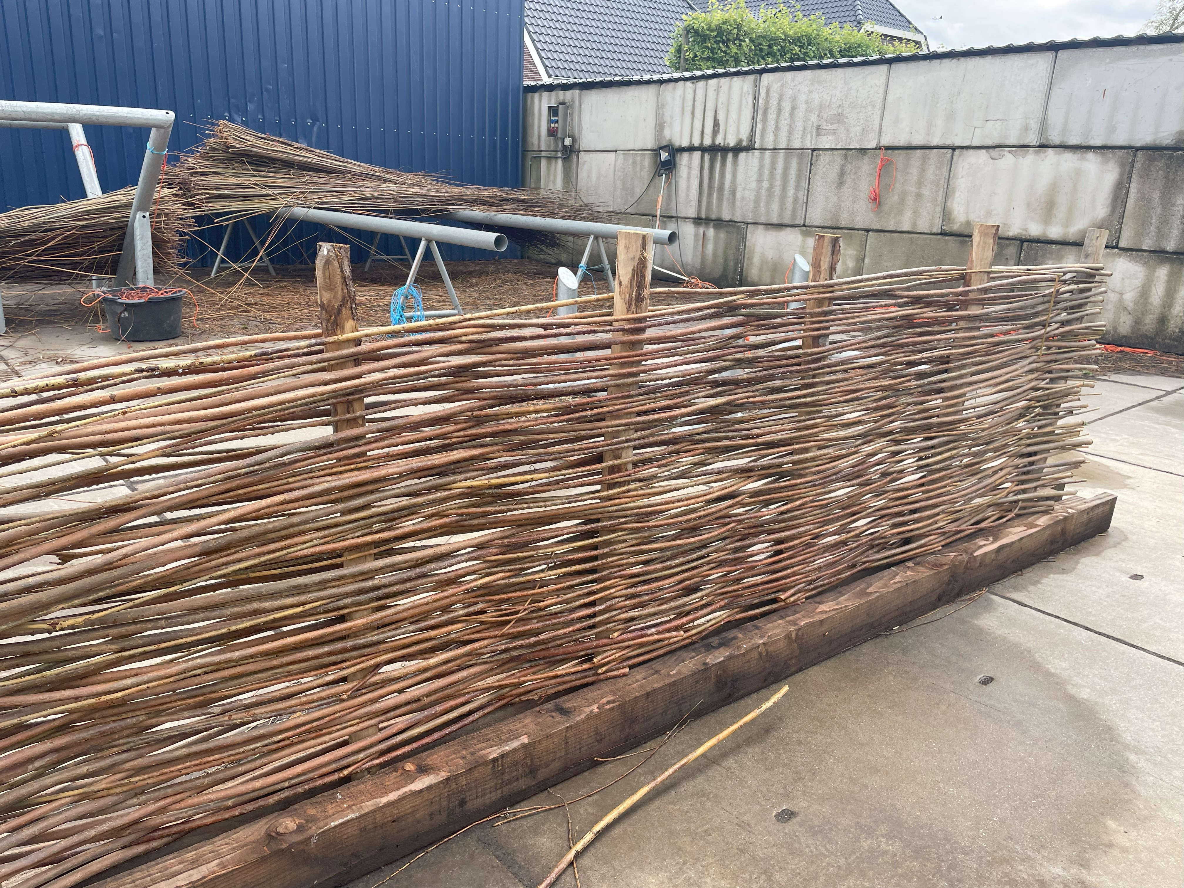 Wilgentenen Gevlochten Afscheiding