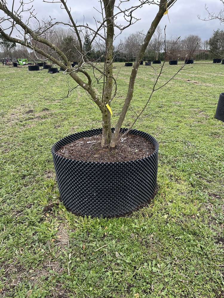 Boomkwekerij Johan Smits 2