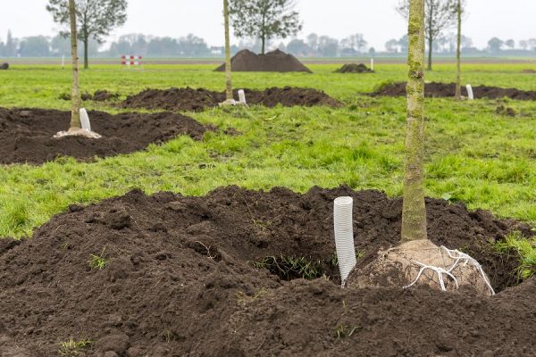 BoomcirkelMoerkerken003